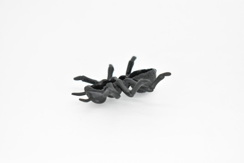 Ant, Black,  Very Nice Plastic Reproduction    1 1/2"   F6090 B381