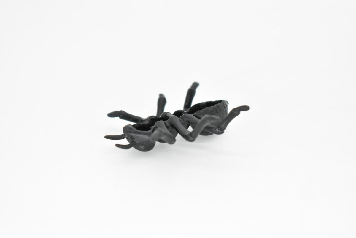 Ant, Black,  Very Nice Plastic Reproduction    1 1/2"   F6090 B381