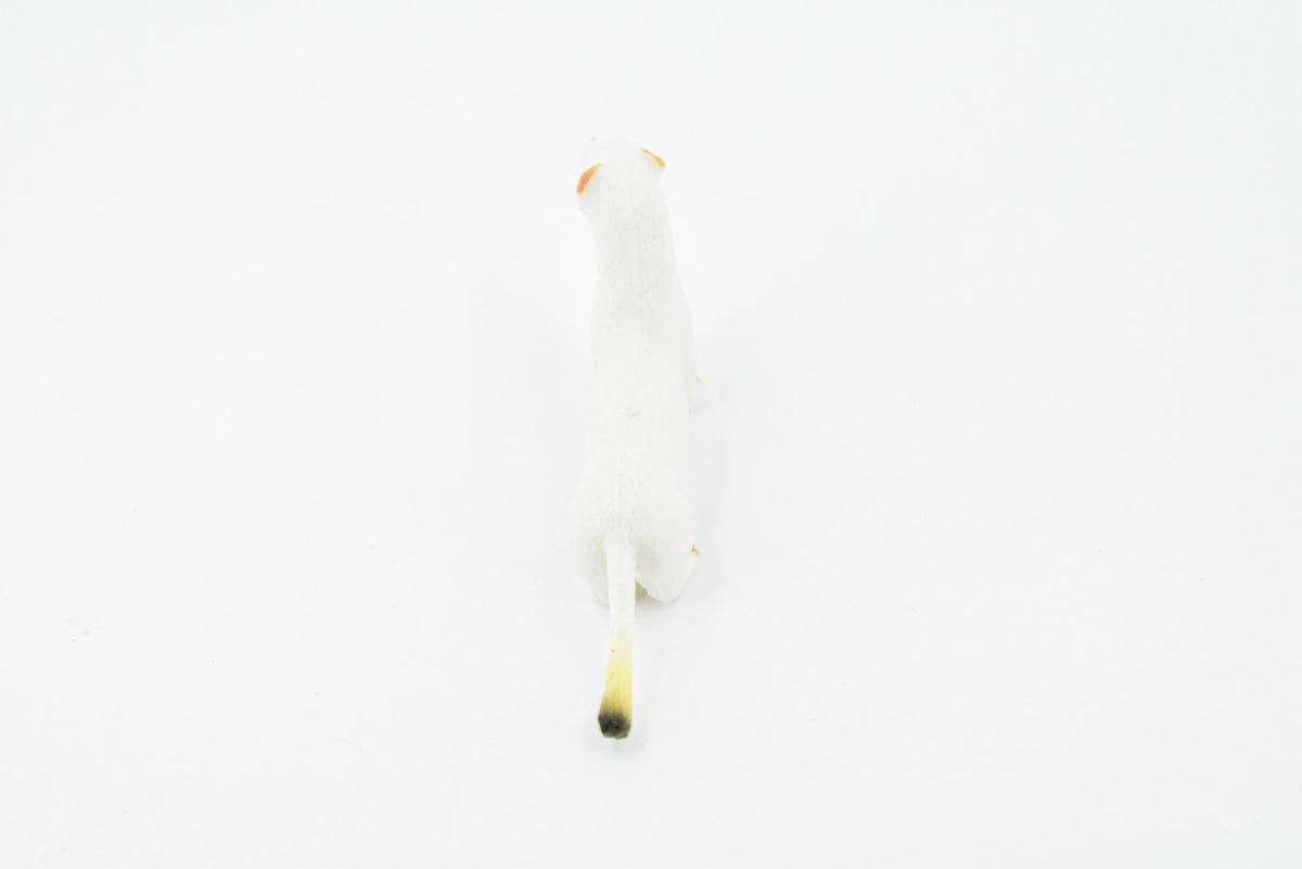 Short Tailed Weasel, Ermine, Stoat, Museum Quality, Educational, Rubber Animal, Hand Painted, Realistic, Diorama Model, Toy, Kids, Gift,     3 1/2 Inches   CH171 BB113
