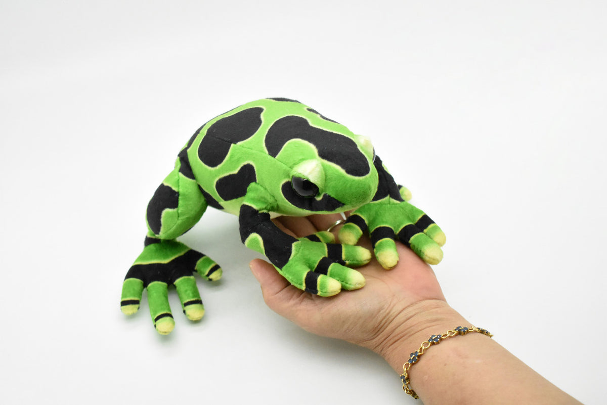Frog, Green, Poison Dart Realistic Cute Stuffed Animal Plush Toy Kids Educational Gift    9"      RI09 B256
