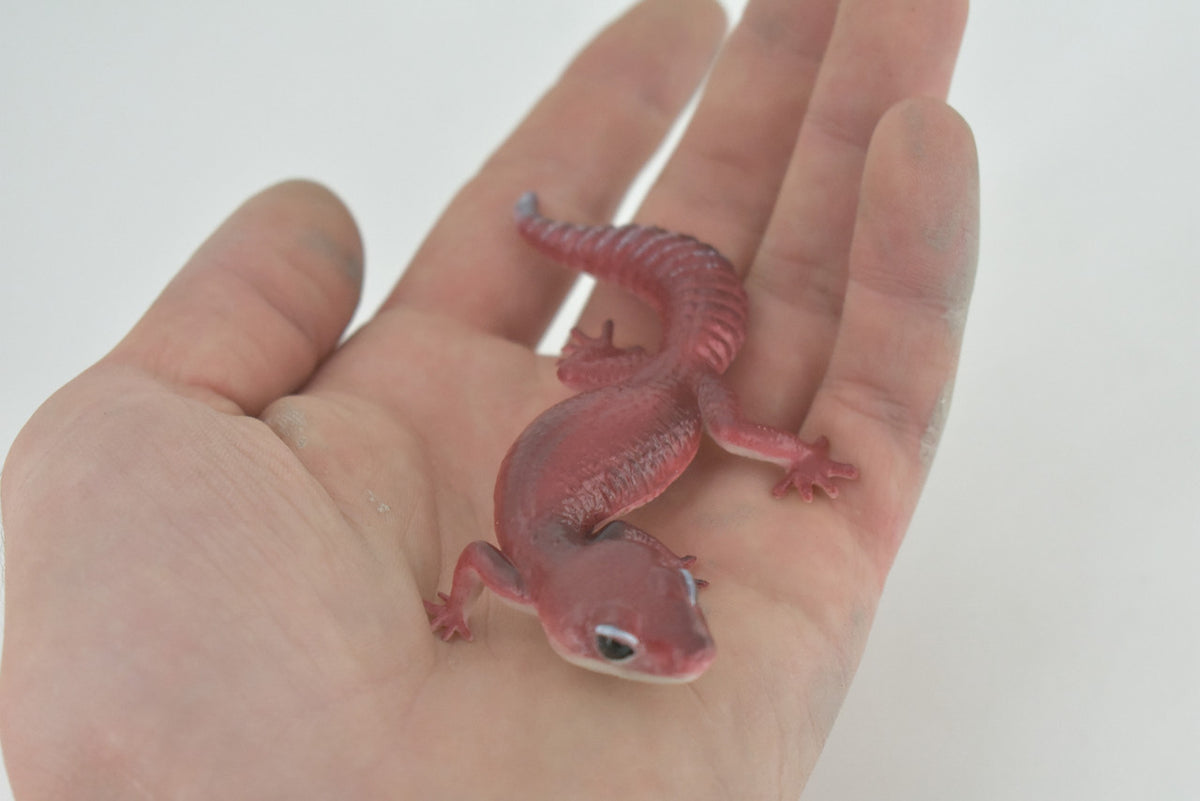  Gecko, Gargoyle gecko, Museum Quality, Educational, Hand Painted, Rubber Lizard, Peking Gecko, Realistic Reptile, Diorama, Toy, Kids, Gift, 4 Inches. CH1020 BB218