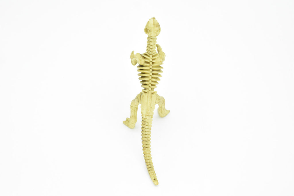Micropachycephalosaurus Dinosaur, Skeleton, Very Nice Plastic Replica 5"   F3293 B66