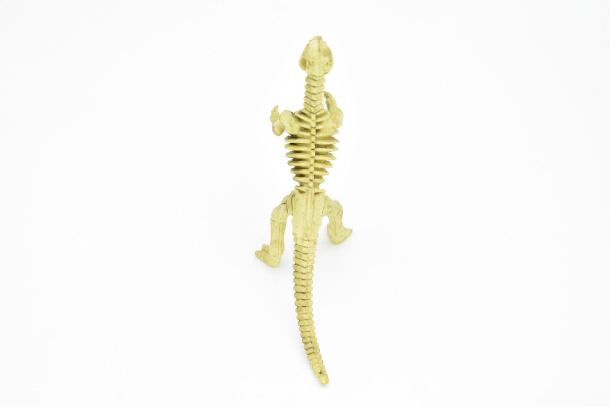 Micropachycephalosaurus Dinosaur, Skeleton, Very Nice Plastic Replica 5"   F3293 B66