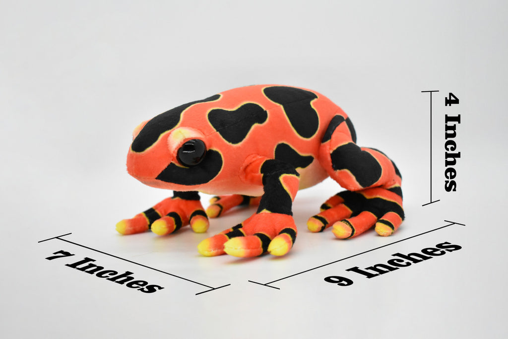 Frog, Red, Poison Dart, Realistic Cute Stuffed Animal Plush Toy Kids Educational Gift  9"      RI08 B255