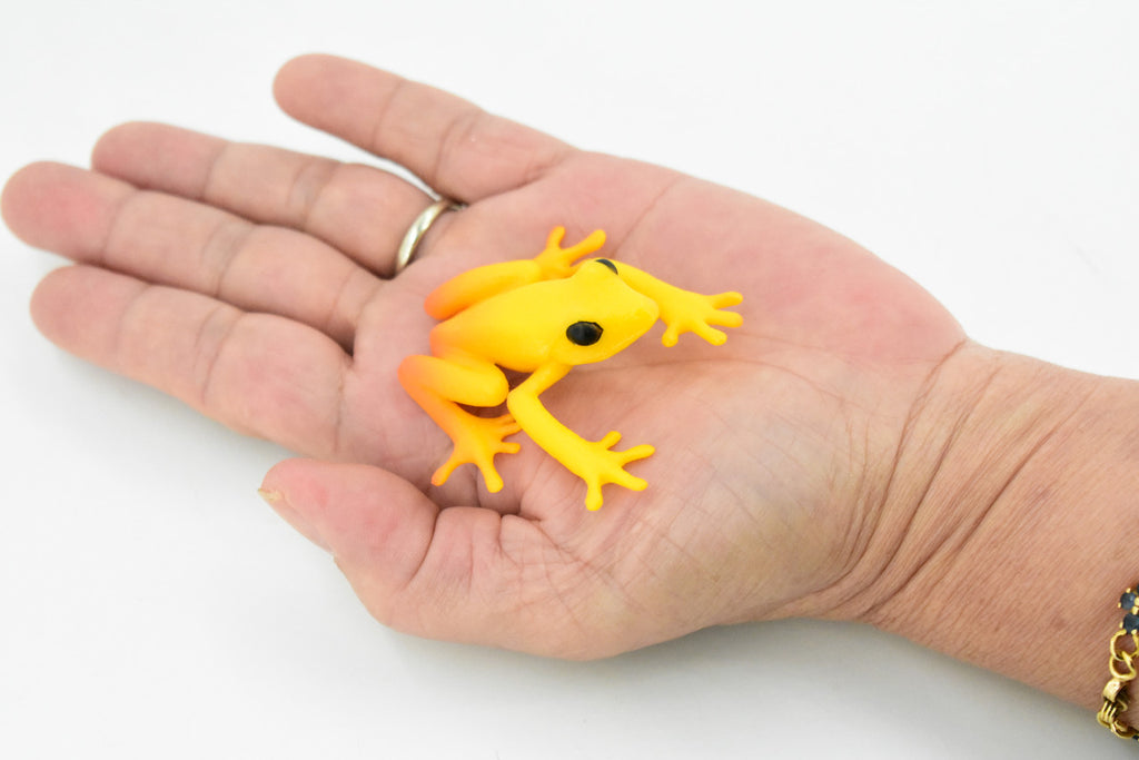 Golden Poison Dart Frog, Yellow and Red, Hand Painted, Amphibian, Hard Rubber, Realistic Frog, Toy, Kids, Educational, Gift,     2"