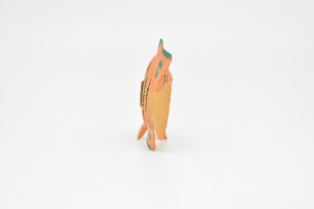 AngelFish, Flame, Tropical Fish, Pterophyllum, Ciclids, Hand Painted, Realistic, Plastic Fish Design, Saltwater, Educational, Figure, Lifelike, Diorama Model, Toy, Gift,  2 Inches.  CWG273 B46