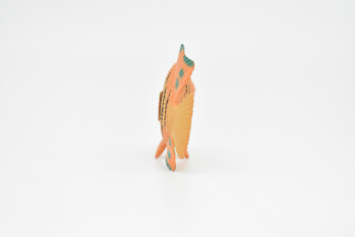 AngelFish, Flame, Tropical Fish, Pterophyllum, Ciclids, Hand Painted, Realistic, Plastic Fish Design, Saltwater, Educational, Figure, Lifelike, Diorama Model, Toy, Gift,  2 Inches.  CWG273 B46