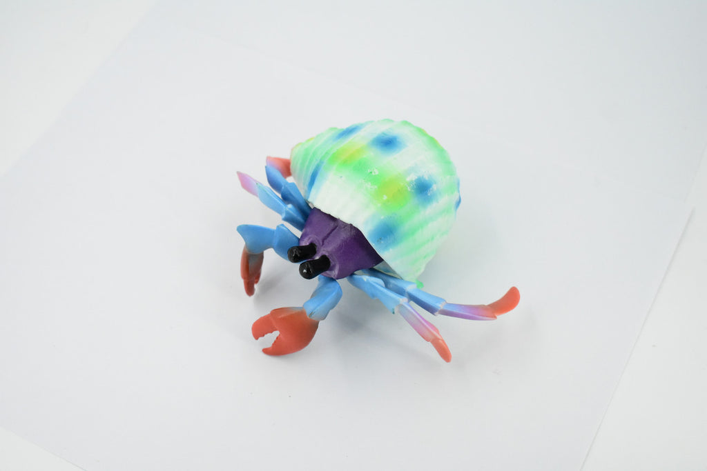 Hermit Crab. Crustaceans, Museum Quality Rubber Figure, Model, Educational, Animal, Hand Painted, Figurines, Gift,           6"             CH160 BB110