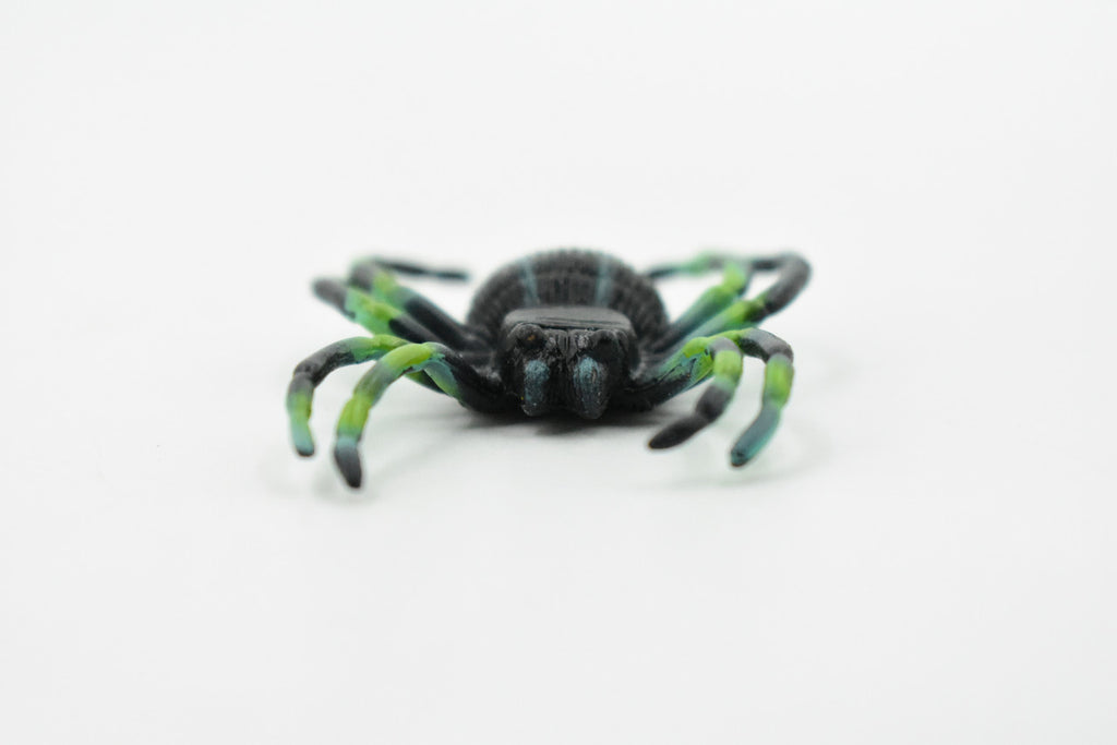 Spider, Trapdoor, Plastic Toy Insect, Kids Gift, Realistic Figure, Educational Model, Replica, Gift,        2"       F1656 B74