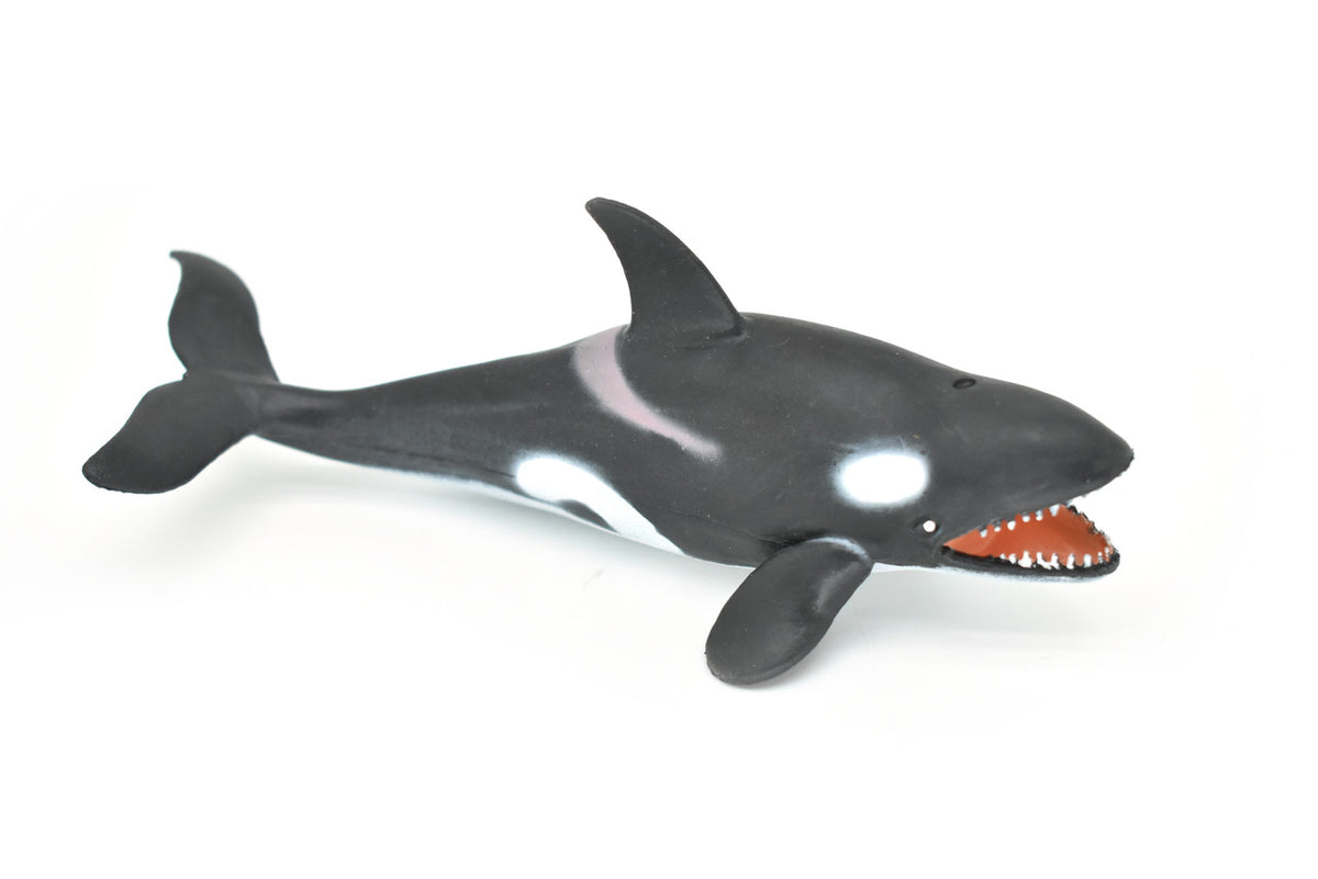 Orca, Killer Whale, Marine Mammal, Very Nice Design, Hand Painted, Rubber, Educational, Diorama Model, Realistic Figure, Figurine, Replica, Toy, Kids, Gift,    6 Inches.   F472 B4