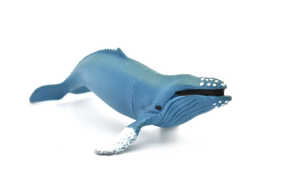 Humpback Whale, Marine Mammal, Very Nice Design, Hand Painted, Rubber, Educational, Diorama Model, Realistic Figure, Figurine, Replica, Toy, Kids, Gift,    6 Inches.    F473 B5