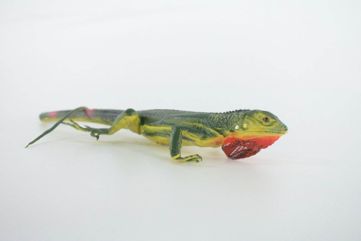 Iguana, High Quality, Hand Painted, Hard Rubber Lizard, Realistic Reptile, Toy Figure, Model, Replica, Kids, Educational, Gift,    15 Inches    IM14 B654