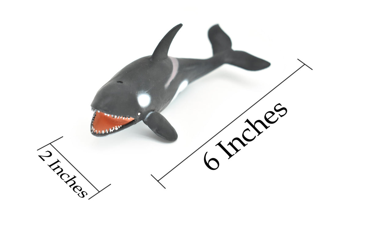 Orca, Killer Whale, Marine Mammal, Very Nice Design, Hand Painted, Rubber, Educational, Diorama Model, Realistic Figure, Figurine, Replica, Toy, Kids, Gift,    6 Inches.   F472 B4