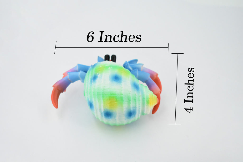 Hermit Crab. Crustaceans, Museum Quality Rubber Figure, Model, Educational, Animal, Hand Painted, Figurines, Gift,           6"             CH160 BB110