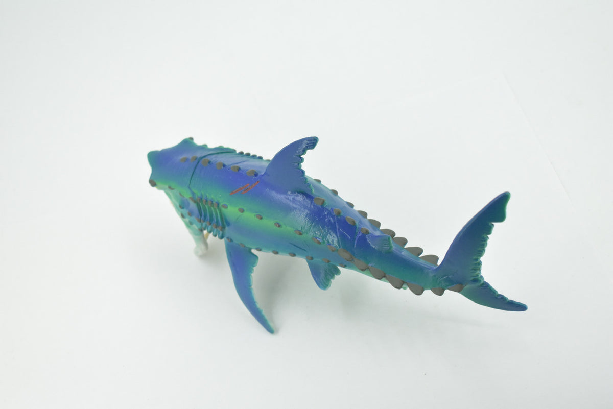 Fish, Monster, Moveable Jaws, Prehistoric Shark, High Quality, Hand Painted, Realistic, Toy, Figure, Model, Replica, Kids, Educational, Gift,       8"     CH612 BB166