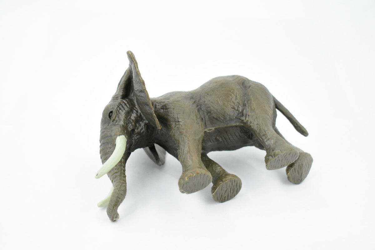 African Elephant, Bull, Loxodonta africana, Museum Quality, Hand Painted, Rubber Animal, Realistic Toy Figure, Model, Kids, Educational, Gift,    6 Inches.   CH464 BB151