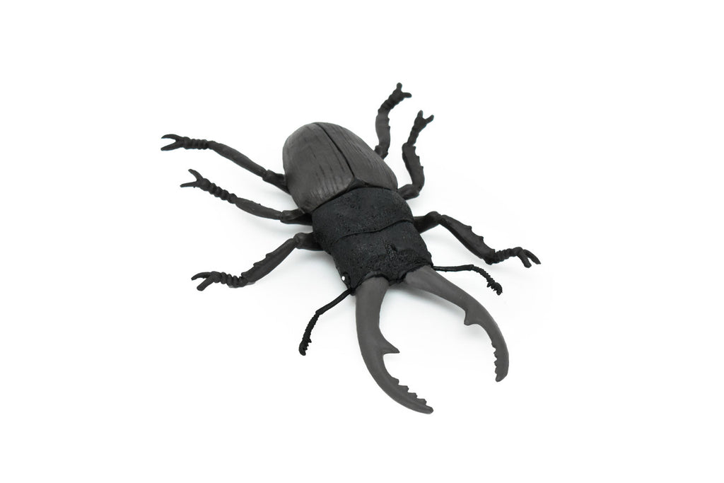Beetle, Giant Stag, Very Nice Rubber Replica     6"   -    CWG84 B153