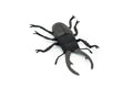 Beetle, Giant Stag, Very Nice Rubber Replica     6"   -    CWG84 B153