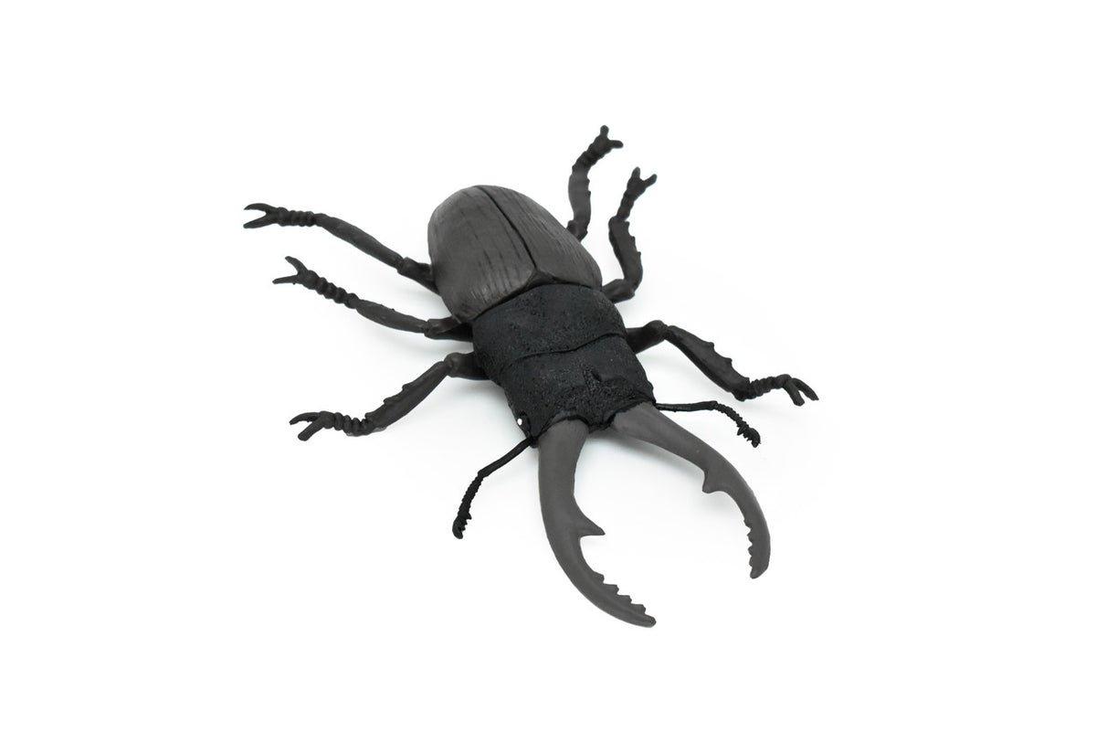 Beetle, Giant Stag, Very Nice Rubber Replica     6"   -    CWG84 B153