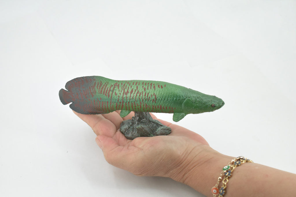 Arapaima, Pirarucu, or Paiche, Museum Quality, Hand Painted, Rubber Fish, Realistic Figure, Model, Replica, Toy, Kids, Educational, Gift,      7 "   CH501 BB155