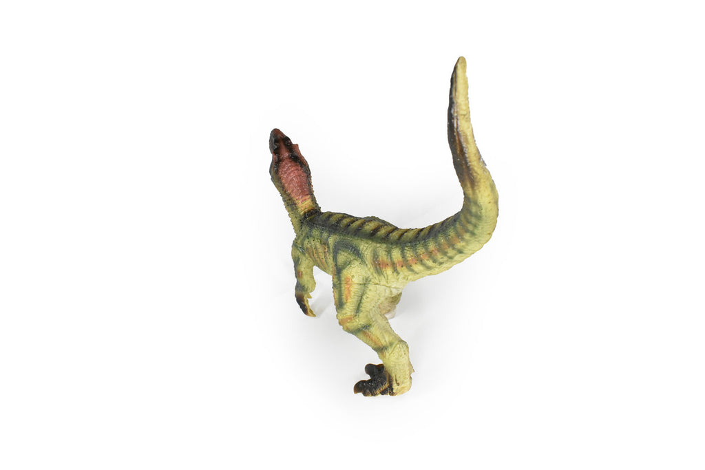 Velociraptor, Dinosaur, Prehistoric, Cretaceous, Museum Quality, Rubber, Hand Painted, Realistic, Figure, Model,  Toy, Kids, Educational, Gift,       20"   CWG73 BB21