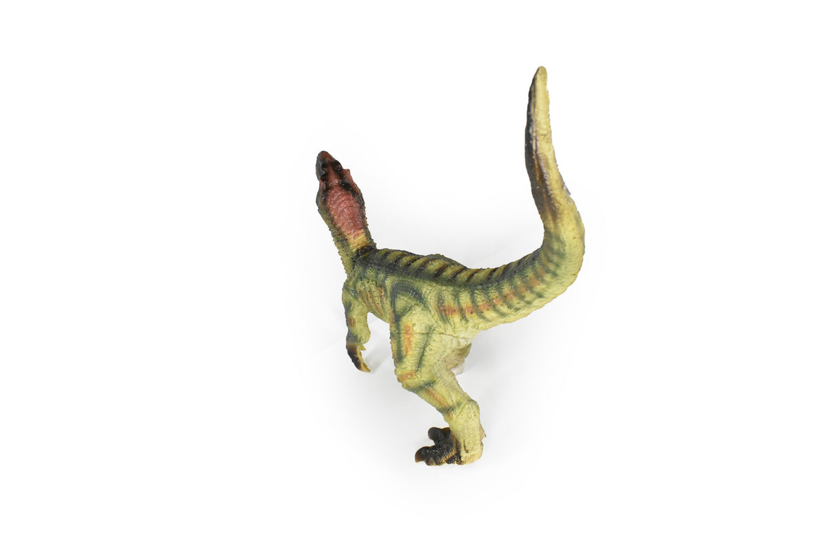 Velociraptor, Dinosaur, Prehistoric, Cretaceous, Museum Quality, Rubber, Hand Painted, Realistic, Figure, Model,  Toy, Kids, Educational, Gift,       20"   CWG73 BB21