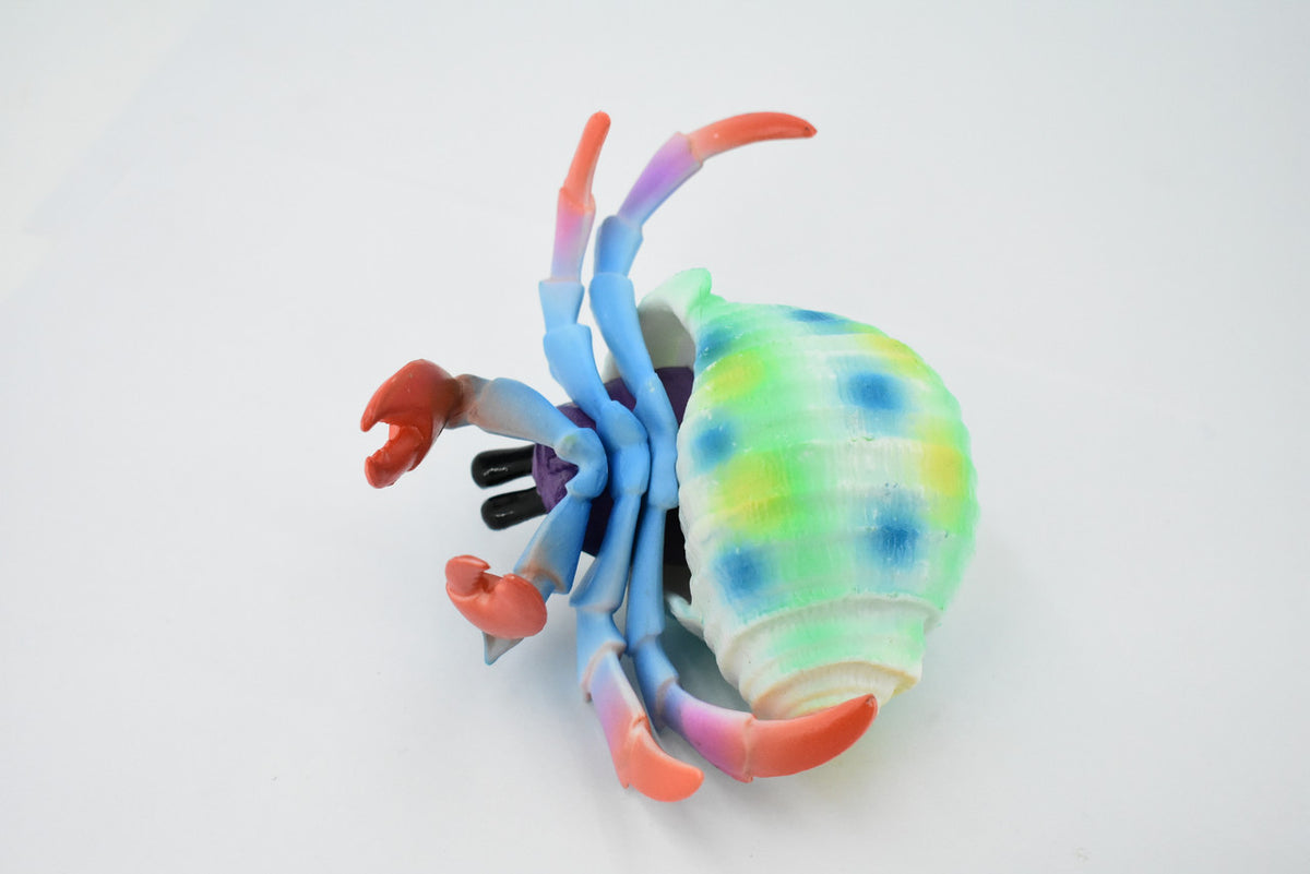 Hermit Crab. Crustaceans, Museum Quality Rubber Figure, Model, Educational, Animal, Hand Painted, Figurines, Gift,           6"             CH160 BB110
