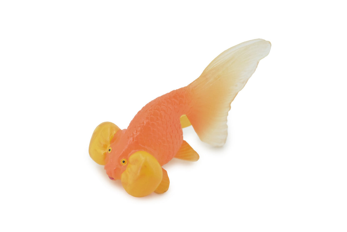 Fish, Goldfish, Bubble Eye, Museum Quality, Hand Painted, Rubber, Realistic Figure, Model, Replica, Toy, Kids, Educational, Gift,      3 1/2"      CH592 BB164