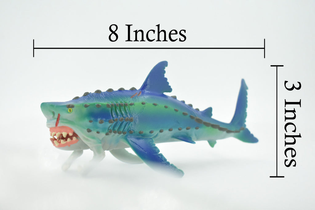 Fish, Monster, Moveable Jaws, Prehistoric Shark, High Quality, Hand Painted, Realistic, Toy, Figure, Model, Replica, Kids, Educational, Gift,       8"     CH612 BB166