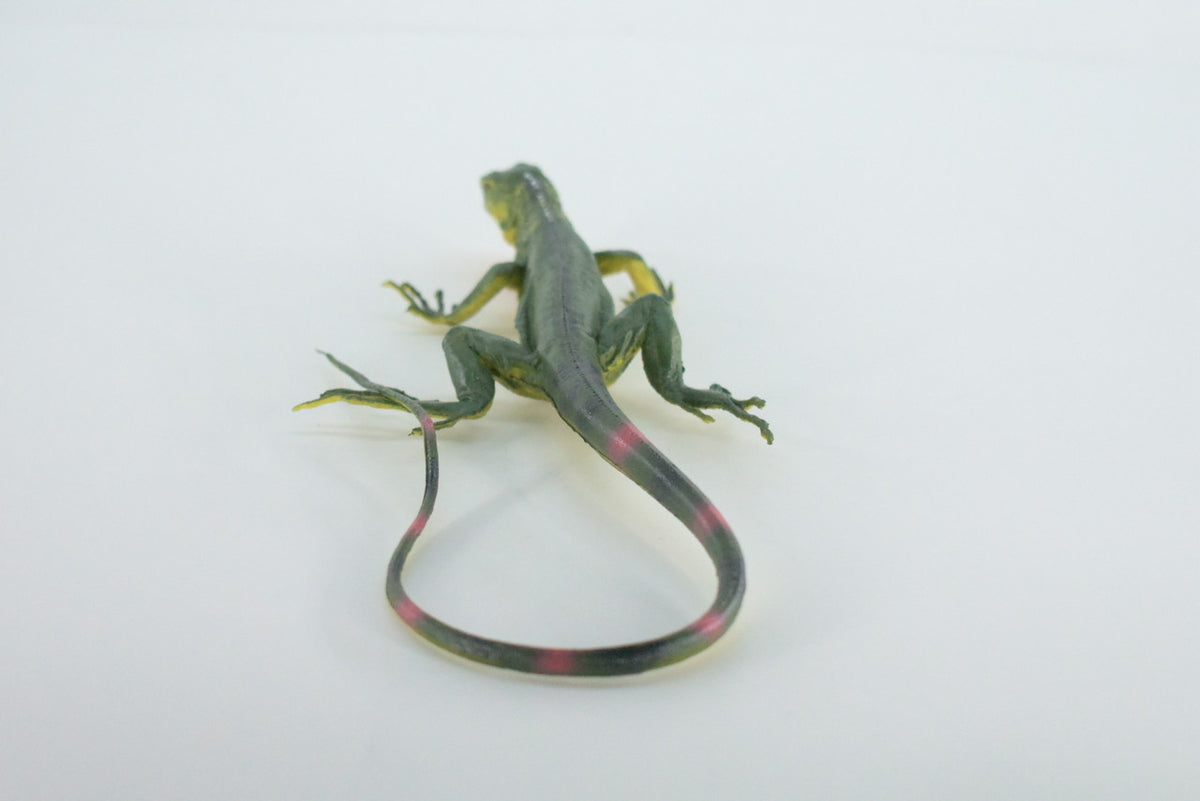 Iguana, High Quality, Hand Painted, Hard Rubber Lizard, Realistic Reptile, Toy Figure, Model, Replica, Kids, Educational, Gift,    15 Inches    IM14 B654