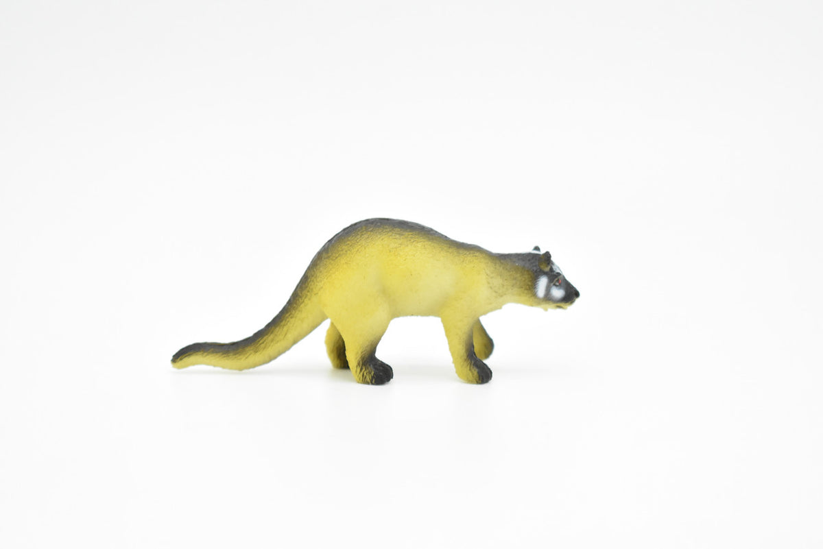 Coati, White Nose, Coatimundi, (Nasua narica), Very Nice Plastic Animal, Hand Painted, Educational, Figure, Lifelike, Diorama Model, Replica, Toy, Kids, Gift,   2 1/2 Inches.   CWG132 B238