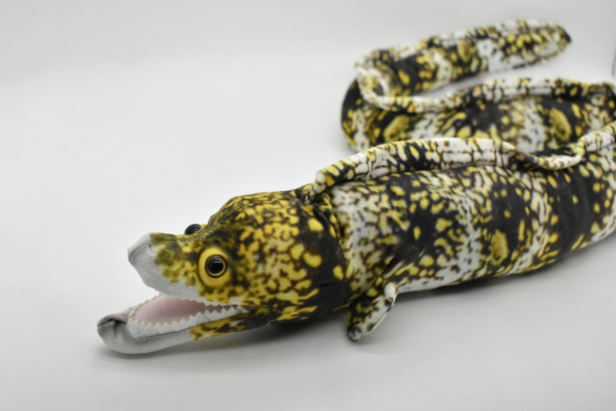 Eel, Moray, Spotted Realistic Cute Stuffed Animal Plush Toy Kids Educational Gift       36" x  4" x 4"      C08 BB103