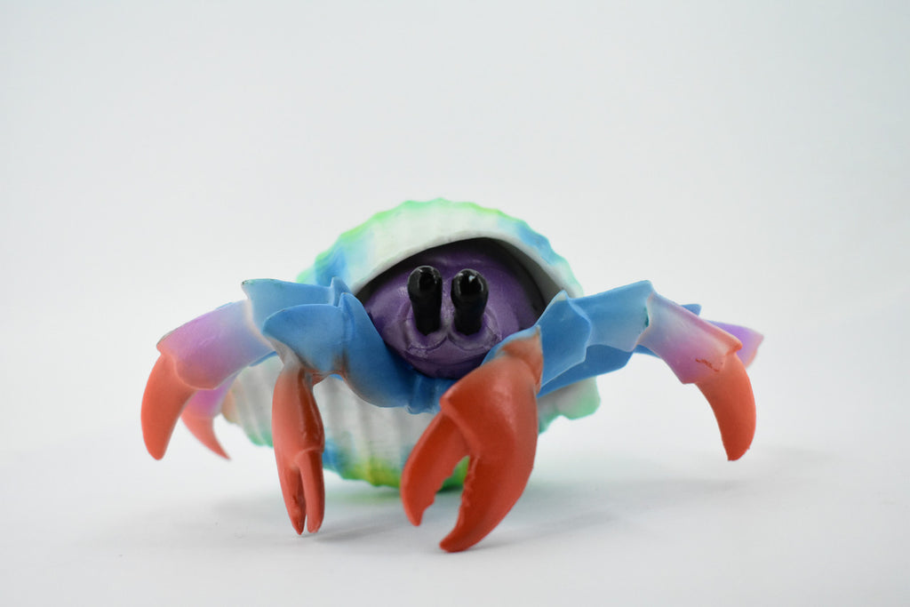 Hermit Crab. Crustaceans, Museum Quality Rubber Figure, Model, Educational, Animal, Hand Painted, Figurines, Gift,           6"             CH160 BB110