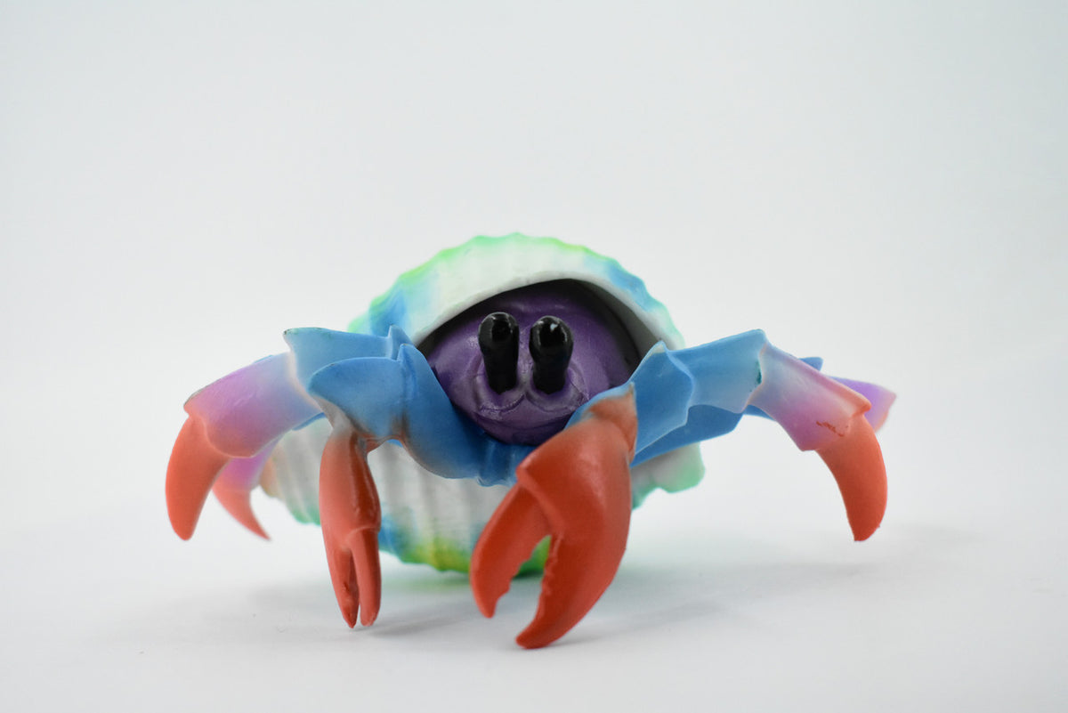 Hermit Crab. Crustaceans, Museum Quality Rubber Figure, Model, Educational, Animal, Hand Painted, Figurines, Gift,           6"             CH160 BB110