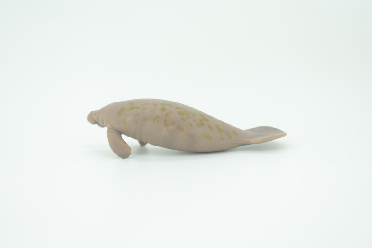 Manatee, Trichechus, Sea cow, Hand Painted, Educational, Rubber Animal, Realistic Figure, Lifelike, Gift,    3"    SF46 B15