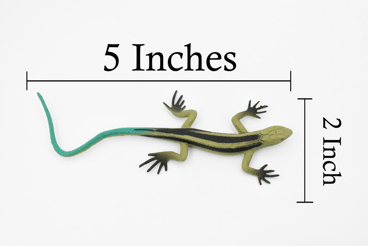 Lizard, Five-Lined Skink, Juvenile, Rubber, Reptile Toy, Realistic Figure, Model, Replica, Kids, Educational, Gift,       5"        F6106 B381