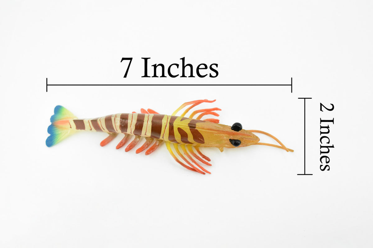 Shrimp, Prawn, Tiger Shrimp, Museum Quality, Hand Painted, Rubber Crustaceans, Realistic Toy Figure, Model, Replica, Kids, Educational, Gift,     7"      CH245 BB122