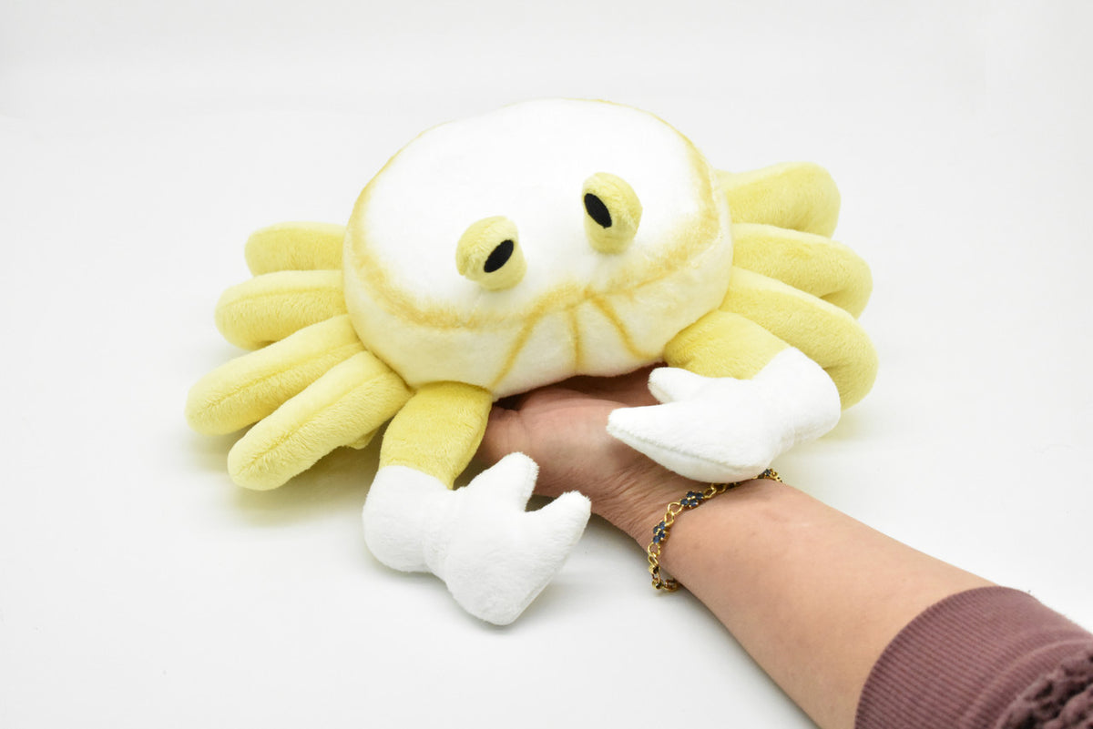 Ghost Crab, Realistic, Plush Crustaceans, Design, Educational, Toy, Kids, Realistic Figure, Lifelike Very Nice Plush Crab       9"