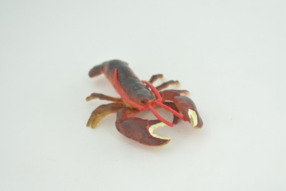 Lobster, Boston, American, Museum Quality, Rubber Crustacean, Hand Painted, Realistic Toy Figure, Diorama, Model, Kids, Educational, Gift,   4 Inches.  CH1019 BB216