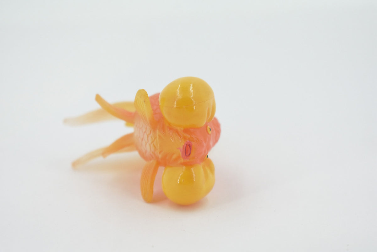 Goldfish, Fancy, Museum Quality, Hand Painted, RubberFish, Realistic Figure, Model, Replica, Toy, Kids, Educational, Gift,   3"    CH497 BB155