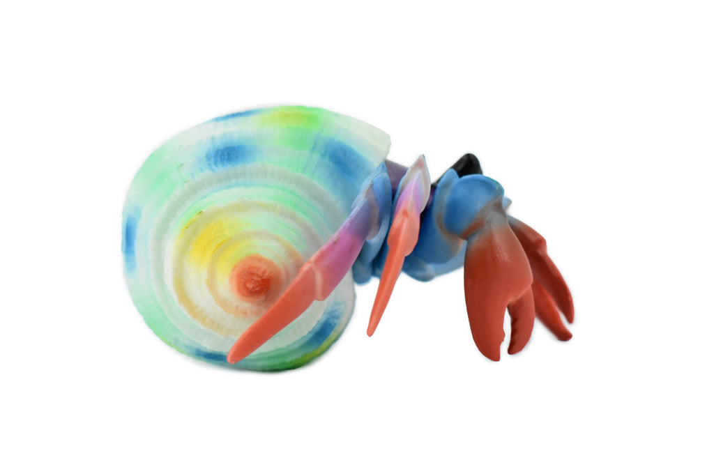 Hermit Crab. Crustaceans, Museum Quality Rubber Figure, Model, Educational, Animal, Hand Painted, Figurines, Gift,           6"             CH160 BB110