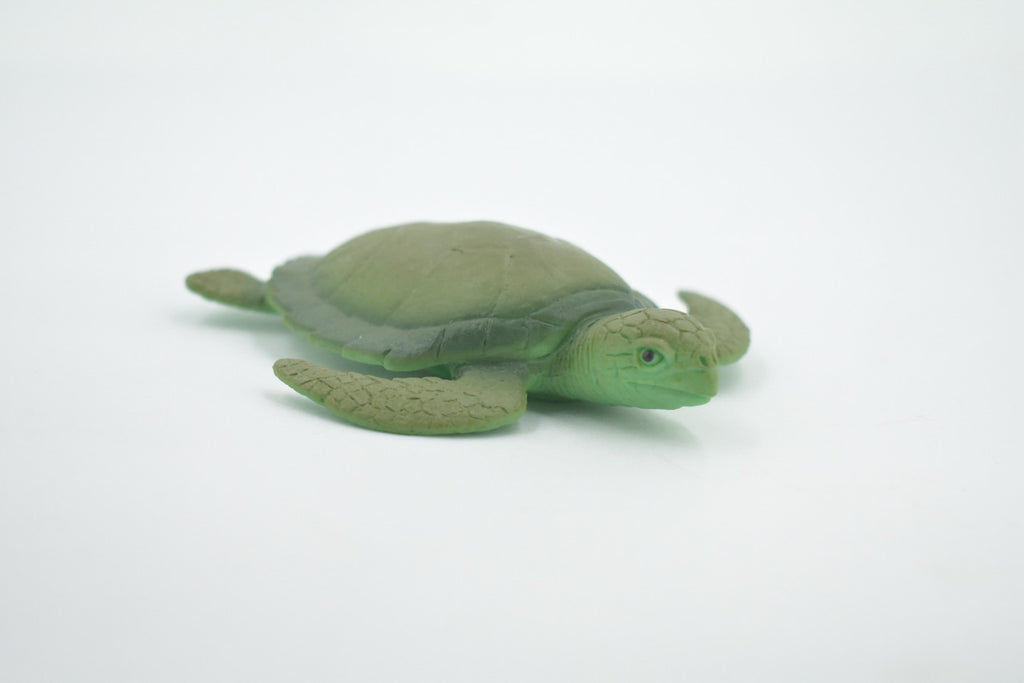 Sea Turtle, Two Tone Color, High Quality, Hand Painted, Rubber Reptile, Realistic, Figure, Model, Toy, Kids, Educational, Gift,     3 3/4"      F6003 B377