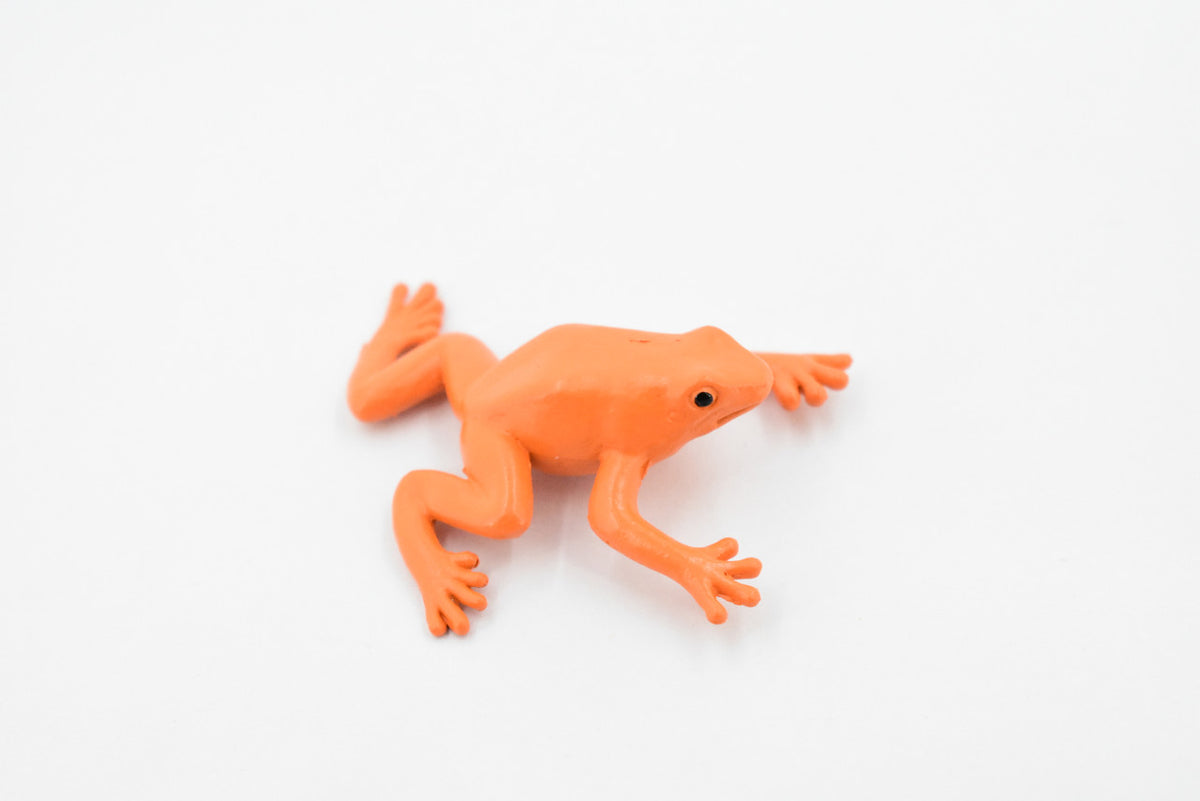 Frog, Golden Mantella Poison Dart Frog, Rubber Toy, Realistic, Rainforest, Figure, Model, Replica, Kids, Educational, Gift,      2"     F7012 B33
