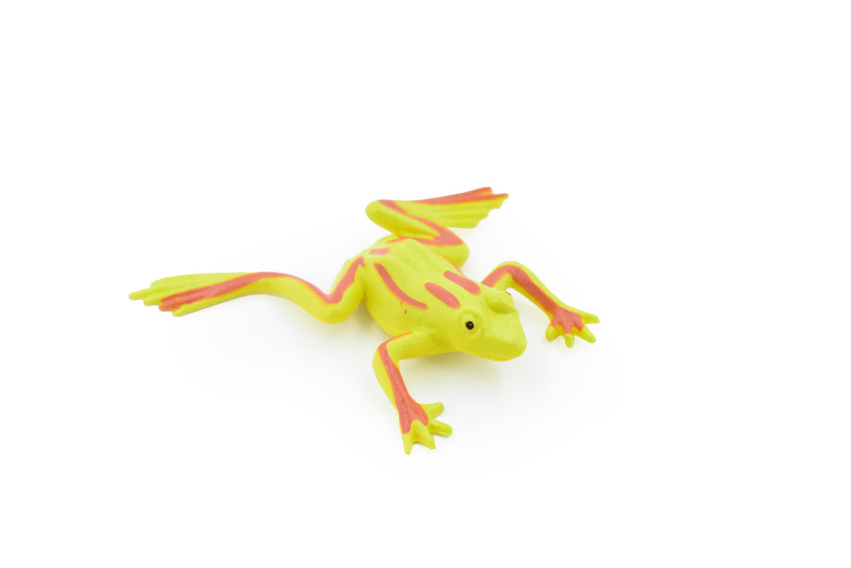 Frog, Green Striped Frog, Very Nice Plastic Design, Educational, Diorama, Realistic Figure, Lifelike, Replica, Toy, Kids,  1 1/2 Inches. 