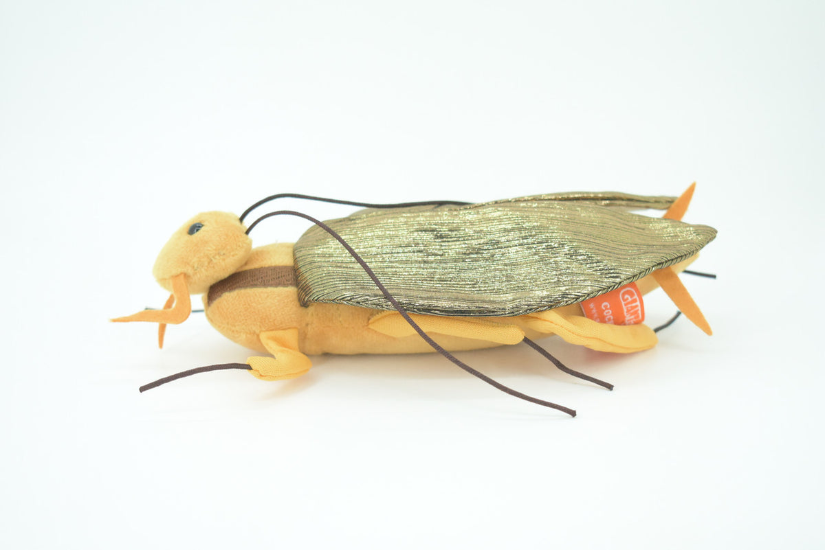 Cockroach, Palmetto bugs, Blattodea, Plush Roach Design, Educational, Figure, Replica, Gift,      8"   GM06 B87