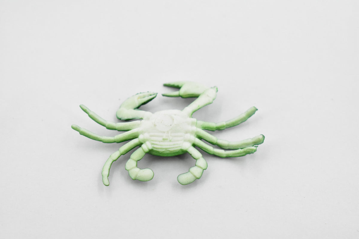 Mud Crab, Saltwater, Rock Crab, Rubber, Crustacean Design, Educational, Hand Painted, Figure, Lifelike, Model, Replica, Gift      2 1/2"       F589 B34