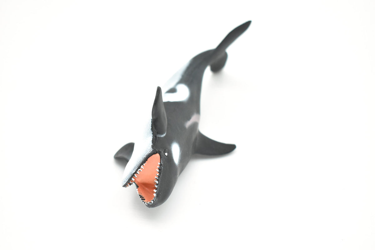 Orca, Killer Whale, Marine Mammal, Very Nice Design, Hand Painted, Rubber, Educational, Diorama Model, Realistic Figure, Figurine, Replica, Toy, Kids, Gift,    6 Inches.   F472 B4