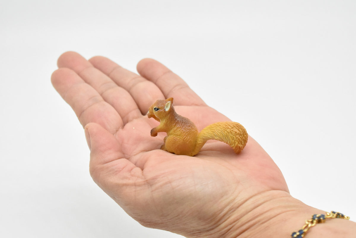Squirrel, Tree, Ground, Sciuridae, Hand Painted, High Quality, Hard Rubber, Realistic, Very Nice Design, Educational, Diorama Model, Lifelike, Toy,  2 Inches. 