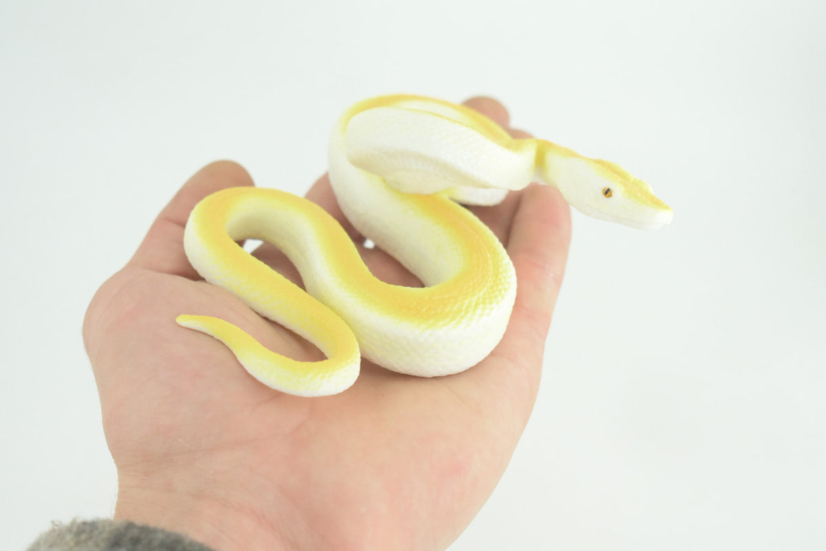 Burmese Python Life Cycle, 4 Piece Set, Museum Quality, Hand Painted, Educational, Solid Rubber Snake, Realistic, Diorama, Toys, Kids, Gift, 6 Inches. CH886 BB201