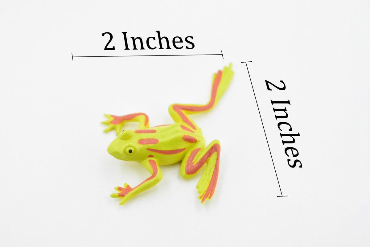Frog, Green Striped Frog, Very Nice Plastic Design, Educational, Diorama, Realistic Figure, Lifelike, Replica, Toy, Kids,  1 1/2 Inches. 